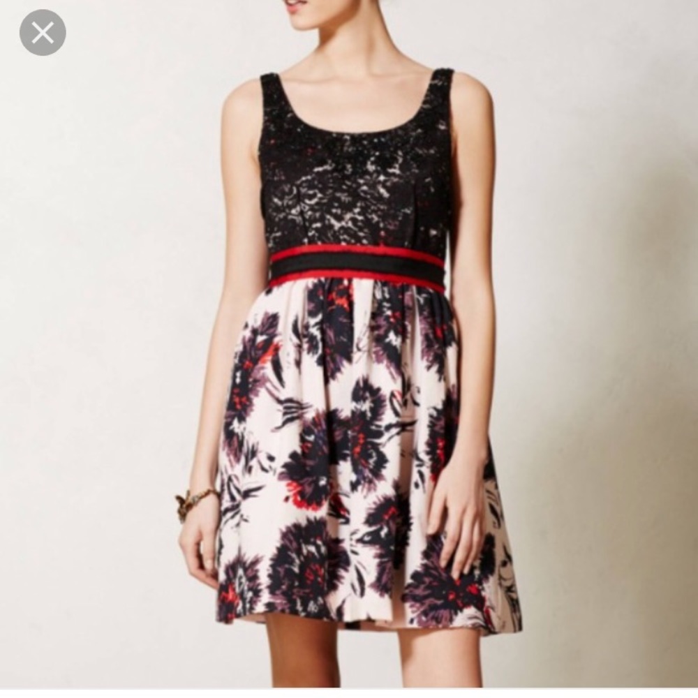 GORGEOUS Anthro dress